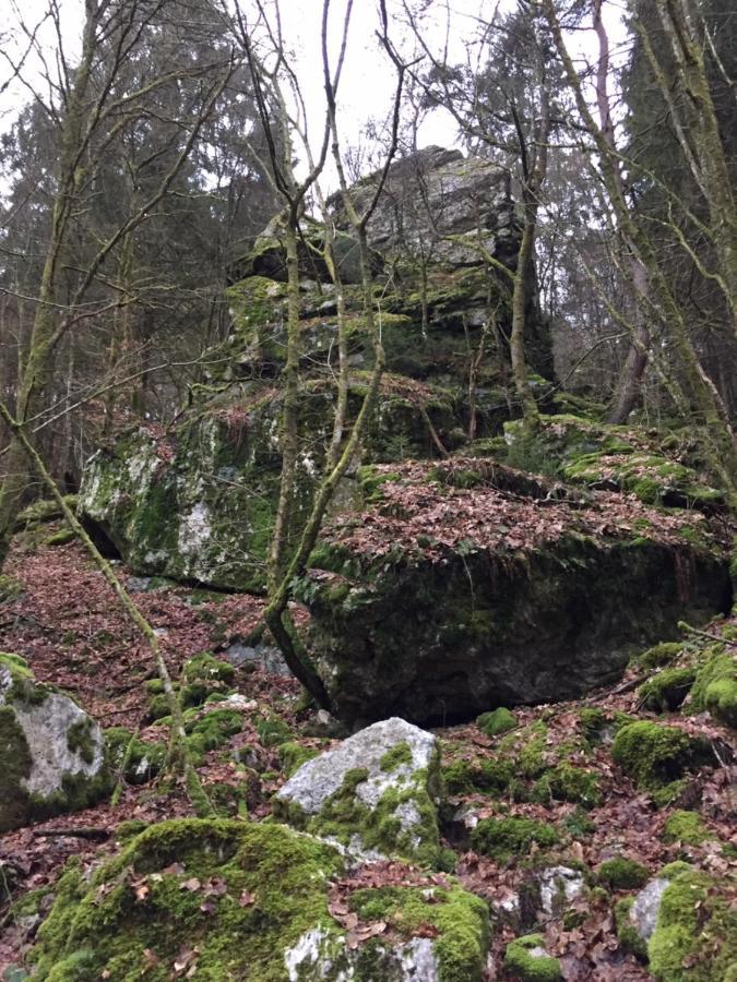 Holiday home Altes Pfarrhaus